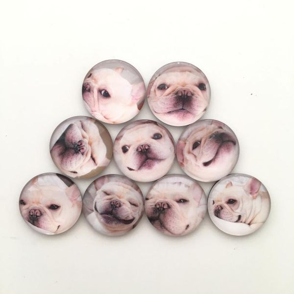 

9pcs lotkawaii sharpei dog fridge magnet animal magnetic sticker for whiteboard home decor kids gift party decor jllqlk