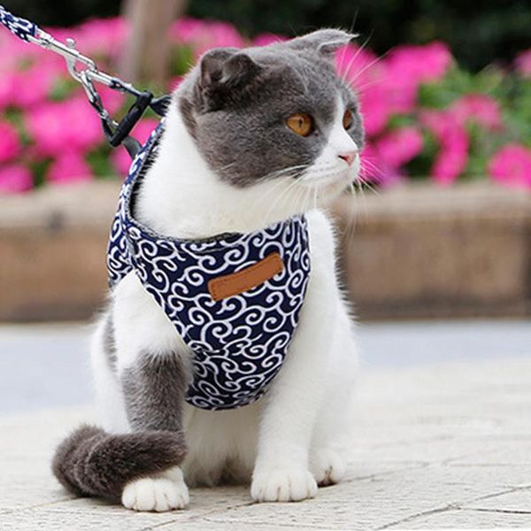 

dog collars & leashes japanese style cat harness pet breathable adjustable vest outdoor walking leash set