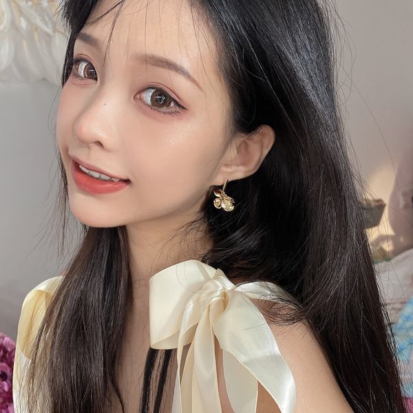 

korean earring s925 temperament advanced silver net needle red diamond tassel cold wind earrings