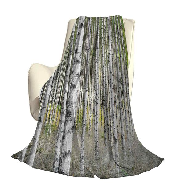 

peaceful late summer woodland trunks leaves foliage serene tranquiloffice leisure blankets