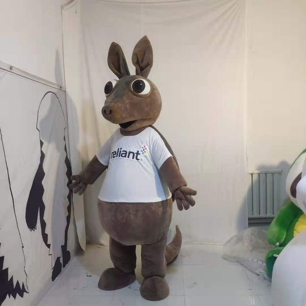 

real pictures armadillo mascot costume ing, Red;yellow