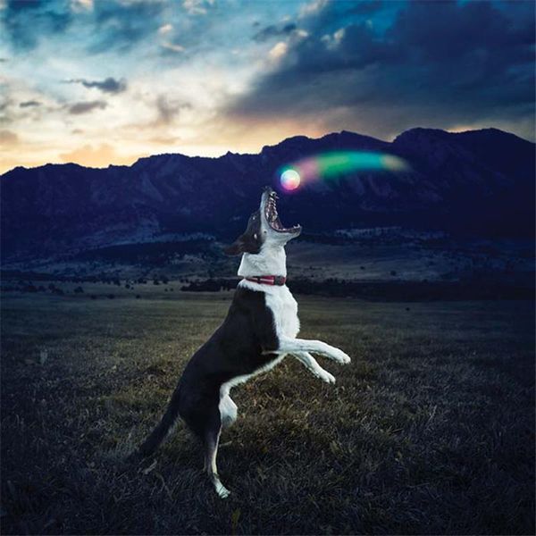 

led dog ball toy glow streak lights up for medium large dogs night play luminous dog collar interactive led pet dog q wmtmaa