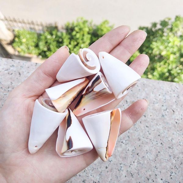 

5pcs mediterranean nautical decor color trumpet conch seashells beach wedding decorations jewelry diy shell beach home decor h wmtusm