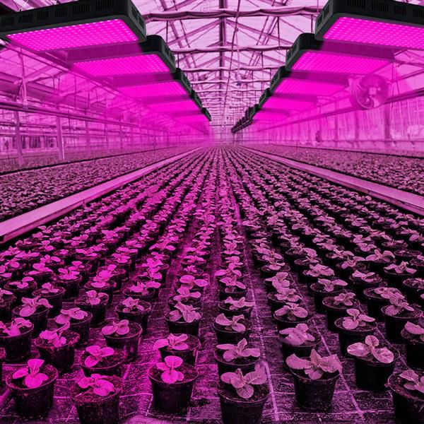 

new styles 1800w 180*10w full spectrum 3030 lamp bead plant lamp single control black premium material grow lights