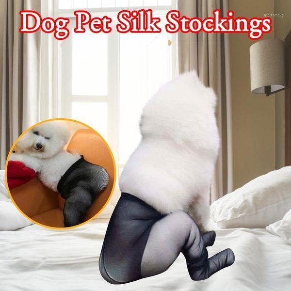 

dog apparel pets make fun of walking their dogs and turning heads in stockings1