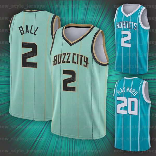 

2021 new 2 lamelo 20 gordon ball terry hayward charlotte hornets men rozier basketball jerseys, Black;red
