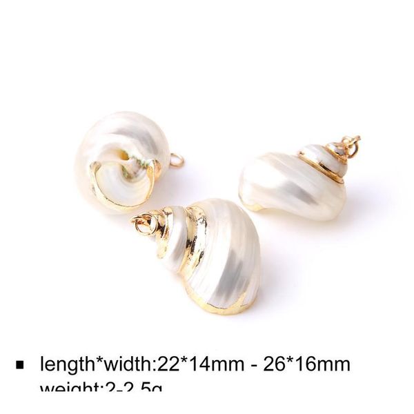 

12 styles 5pcs natural shell pendant conch shell charms pendant natural at random for diy jewelry necklaces making ac jllase, Black