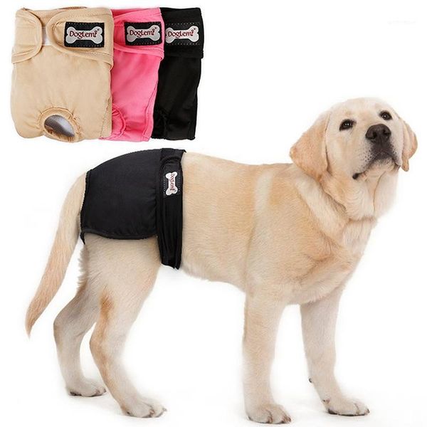 

female dog physiological pants sanitary shorts for small medium dog hygienic briefs breathable puppy diaper pet supplies1