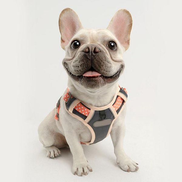 

dog chest strap traction rope breathable lightweight comfortable reflective belt design convenient for walking dog m