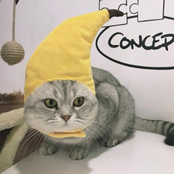 

cat toys cute pet hat banana shape headgear for small dog and festival funny outfit clothing