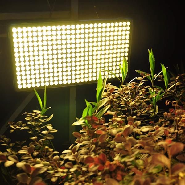 

300w square full spectrum led grow light white no noise plant light big area of illumination ce fcc rohs