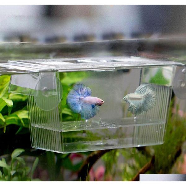 

acrylic fish tank breeding breeder isolation box aquarium hatchery incubato grow seedlings qylyxm new_dhbest