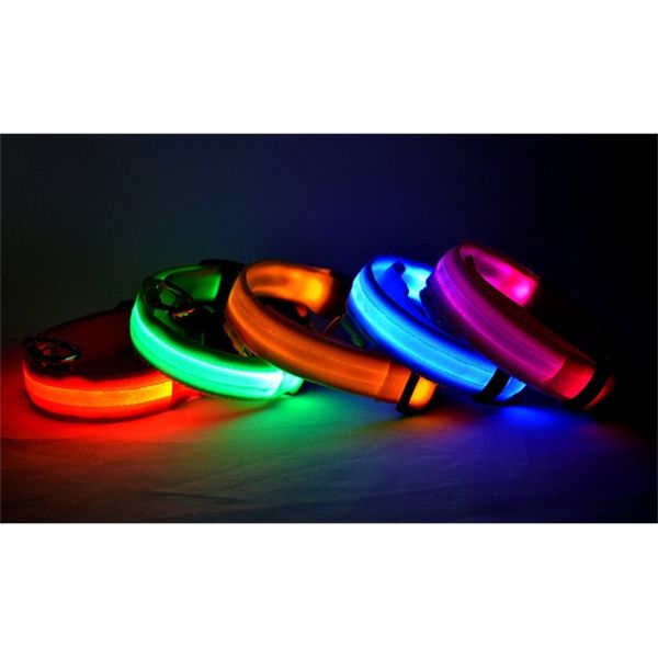 

teddy flash cat flashlights dibo america huskies large dog collars s m l xl emitting led pet supplies dhl free