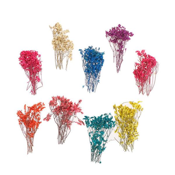 

natural dried babysbreath flowers crystal grass pressed emulation blossom home office decor party random color