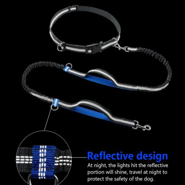 

hands dog leash retractable bungee leash lead reflective for running walking up to 150 lbs large dogs bag d sqcabx