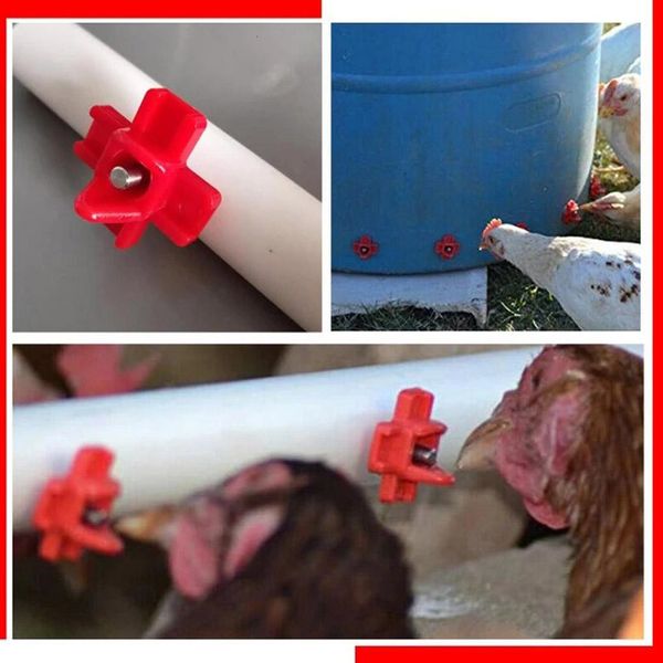 

chicken tap household drinking matic poultry 10pcs nipple chicken water feeder system dispenser plastic chicken water feeder h jllwmt