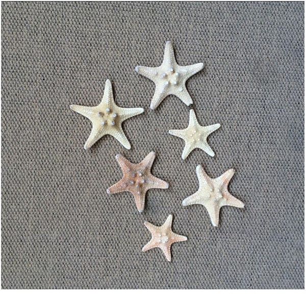 

20pcs/set sea star star fish animal shell beach ornament for aquarium weddings party diy home decoration craft 3-4cm qyljku