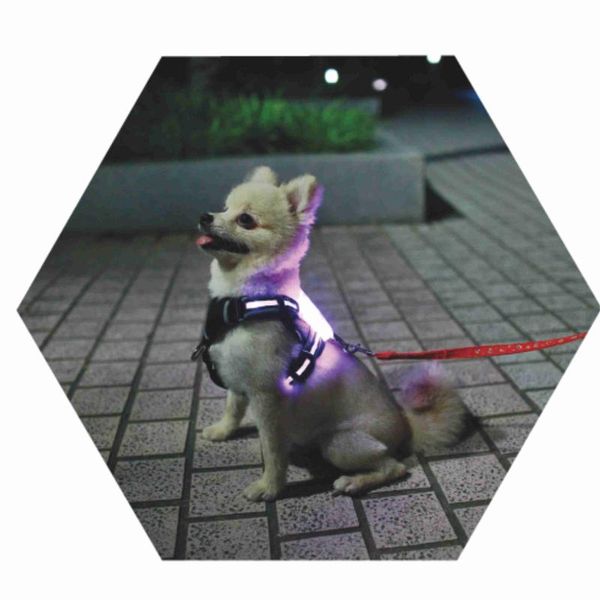 

cc simon led dog harness 7 color in 1for large and small dog