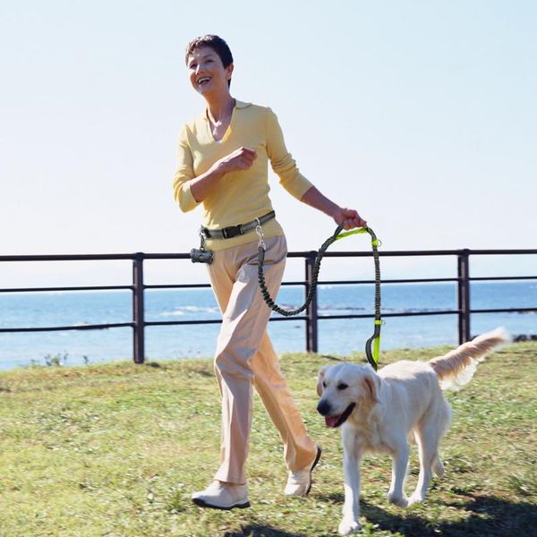 

hands dog leash retractable bungee leash lead reflective for running walking up to 150 lbs large dogs bag d sqczuh