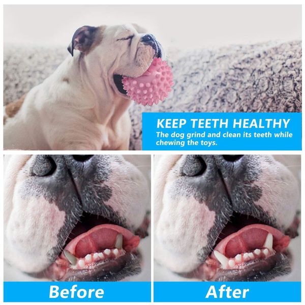 

собака, кусающаяся кольцо игрушка собака мягкая резина молярная игрушка питомца укус зубов зубов игрушка увеличить интеллект домашних животн