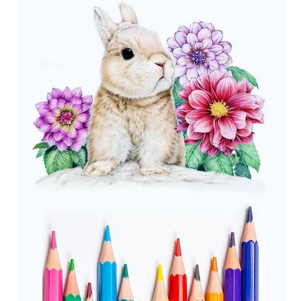 

12 24 color wood non toxic eco friendly colored pencils iron box drawing pencil set professional sketch color pastel pencil wmtxhd