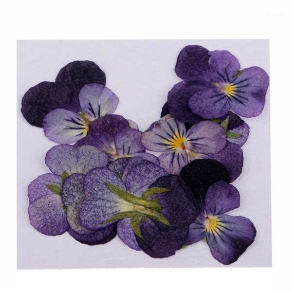 

decorative flowers & wreaths 24 pieces natural violet real dried embellishments nail art accessories for diy phone case resin ornament artif