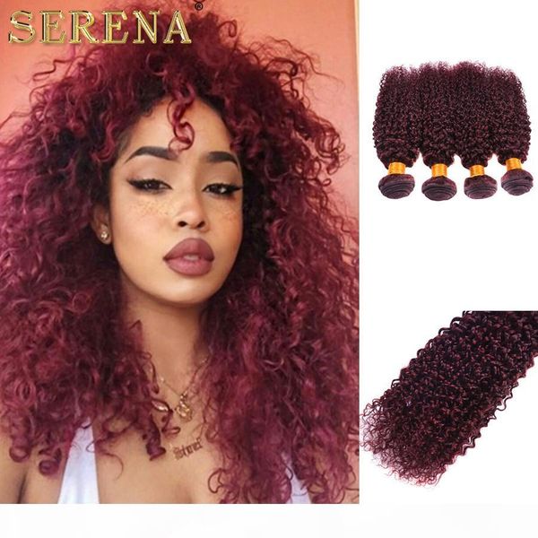 

kinky curly peruvian human hair burgundy hair wefts extensions 99j wine red peruvian human hair weave bundles kinky curly 4pcs lot, Black