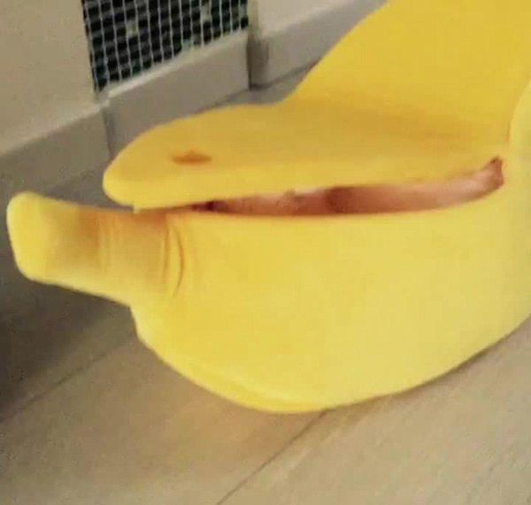 

breathable pet cat bed new design banana shape winter warm dog house comfortable pet acces bbyocm soif