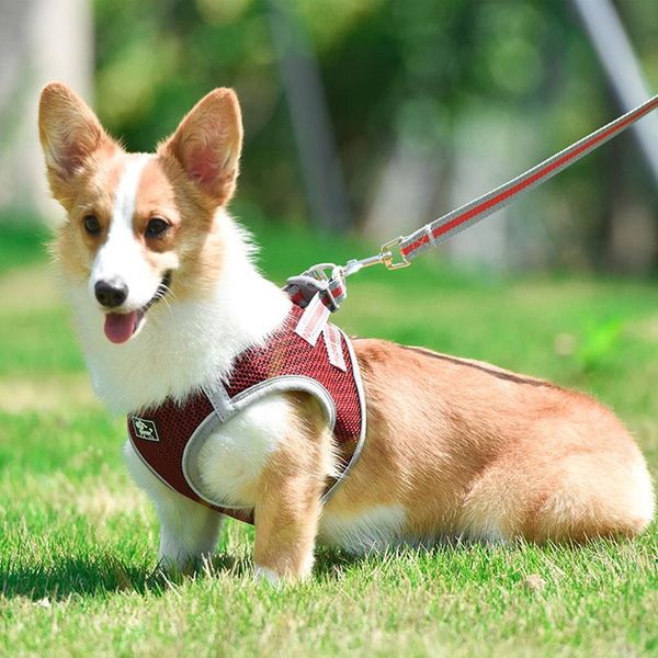 

reflective nylon mesh dog harness and leash set breathable pet dog harness vest lead leash for small med bbygjl