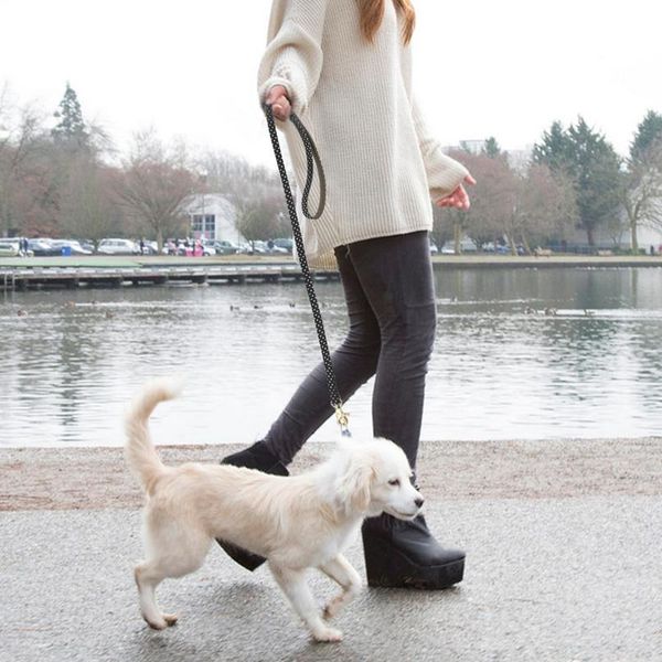 

leather pet dog leash cat dog walking lead rope with dot pet cats collar leashes strap for small medium dogs r wmtntr