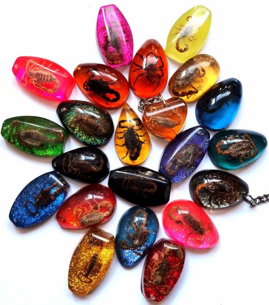 

yqtdmy 12 pcs fashion real scorpion colorful vogue keychain, Slivery;golden