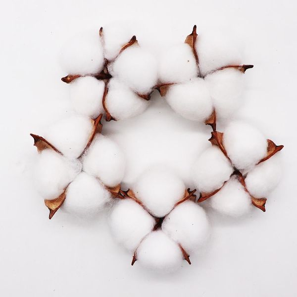 

5шт искусственный цветок капок хлопок хед для свадьба рождество домашнее украшение diy craft венок scrapbook природные сушеные цветы bbynyg