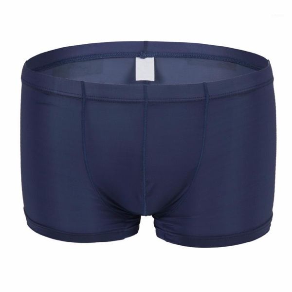 

danjiu ice silk gay male underwear thin transparent soft man boxer shorts solid breathable mens underpants summer panties1, Black;white
