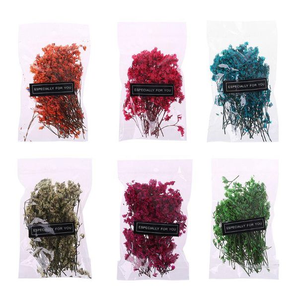 

1 bag real pressed dried flowers floral plants embellishments for diy scrapbooking card making art craft decoration drop ship