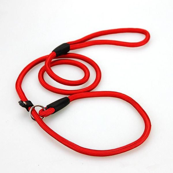 

factory price dog nylon training leash slip lead strap adjustable traction collar pet animals rope supplies accessories