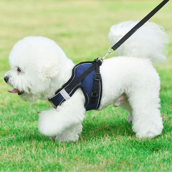 

pet cat dog traction rope chest strap reflective design comfortable breathable mesh material pet leashs walking accessories