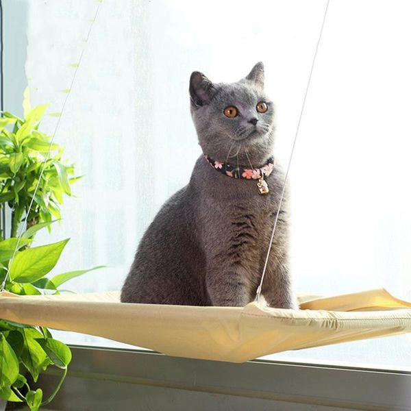 

cats hammock suction window wall mounted hanging bed kitten resting sunny seat @ls