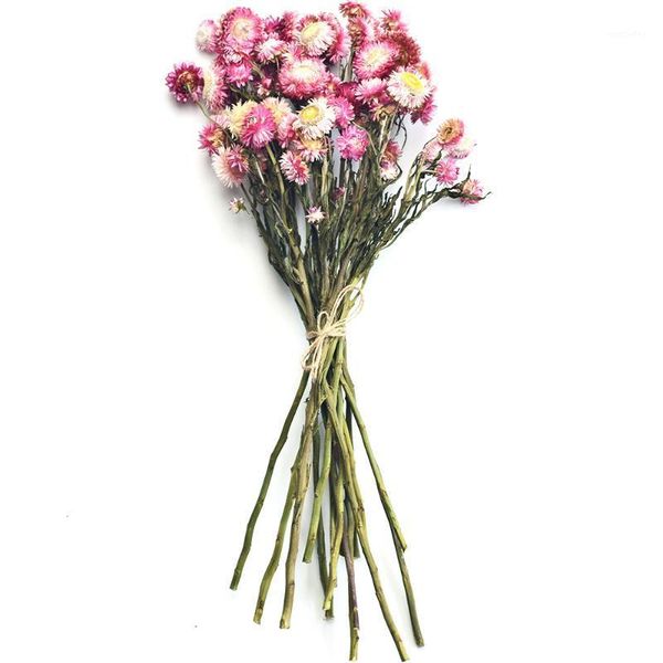 

decorative flowers & wreaths wheat stalk colorful chrysanthemum natural dry real environment creation garden style decorating daisy gerbera1