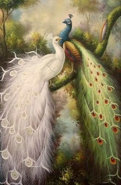 

beautiful peacock art framed & unframed home decor handpainted &hd print oil painting on canvas wall art canvas pictures ,em10