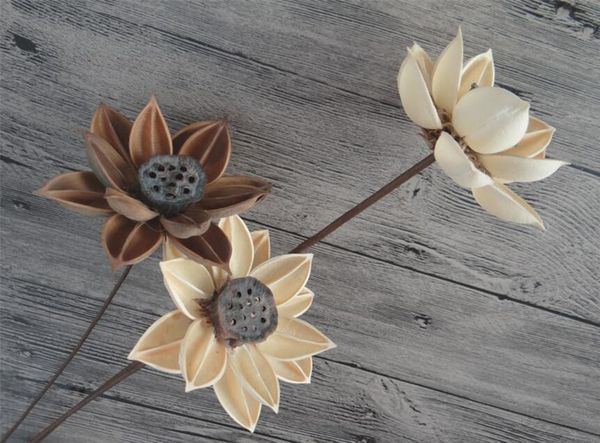 

5pcs natural dried white/brown lotus flowers with iron wire for wedding party home l vase decoration diy bouquet accessory