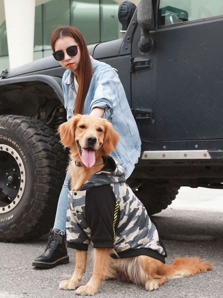 

autumn and golden chai pet clothing large warm winter thick labrador dog sweater