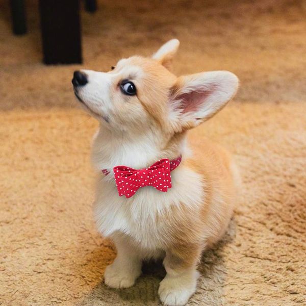 

cute puppy dog cat collar leather bowknot pet dog collar adjustable puppy collars for small medium dogs chihuahu sqcgcl