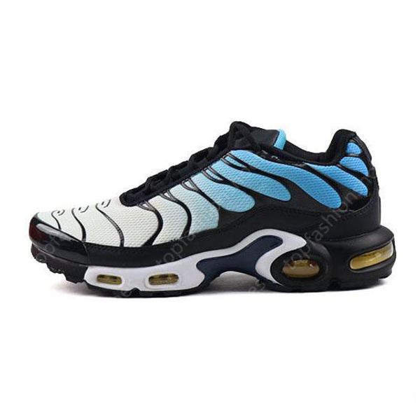 blue hex tns