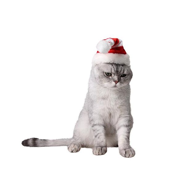 

christmas red and white striped cat hat in europe and america