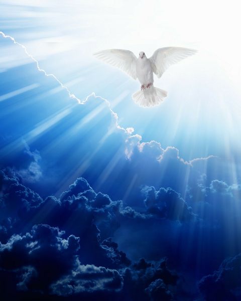 

catholic picture holy spirit sh2 home decoration oil painting on canvas wall art canvas pictures for wall decor 201124