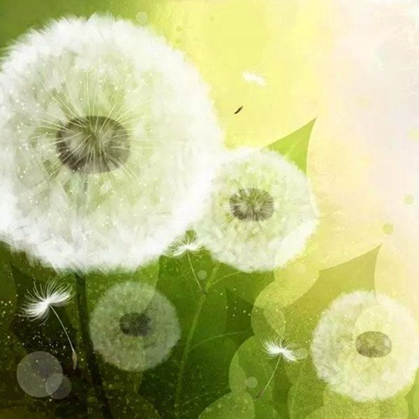 

wallpapers 3d stereo dandelion wallpaper living room large fresco wall wh-mural1