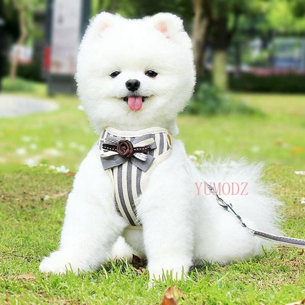 

dog collars & leashes s-l vertical stripes chest harness for small puppy flower tie bow harnesses vests with rope breathable grid pets dogs