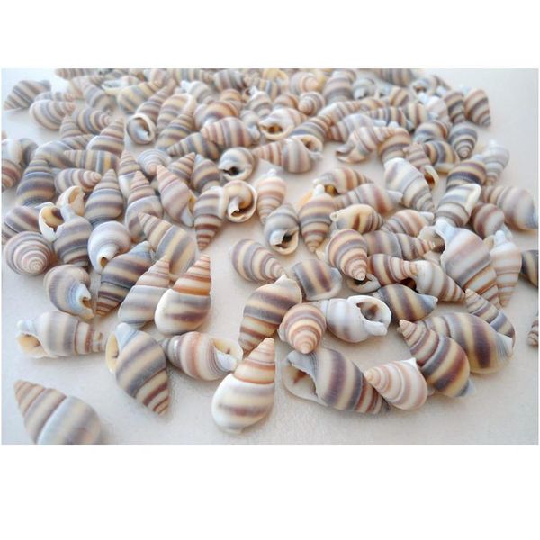 

happykiss 100pcs natural ornament conch shells cat's eye screw diy mediterranean home decoration aquariu jllpnf