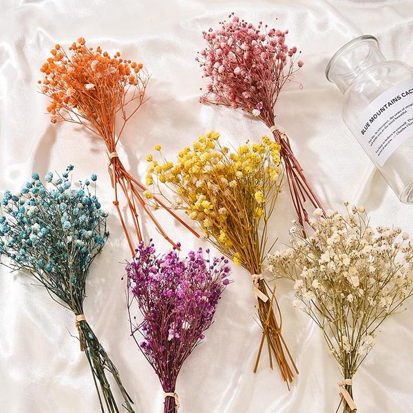

real happy flower small natural dried flowers bouquet dry flowers press mini decorative pgraphy p backdr wmtbsj