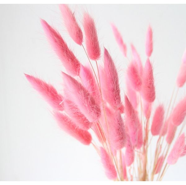 

20 шт. натуральные высушенные цветы лагуру белые искусственные цветы красочные поддельные кролики хвост трава оватус фоксовый букет долго бу